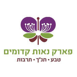 מחנה קיץ 2016 פארק נאות קדומים אתר לגדול